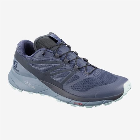 Scarpe Running Salomon SENSE RIDE 2 W Donna Lavanda IT 1-H31